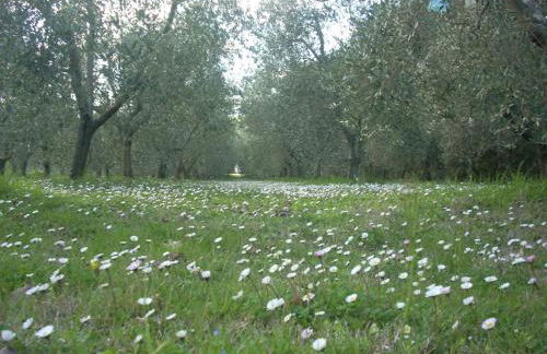 Residence Ai Campi Da Golf Saturnia - Foto 61