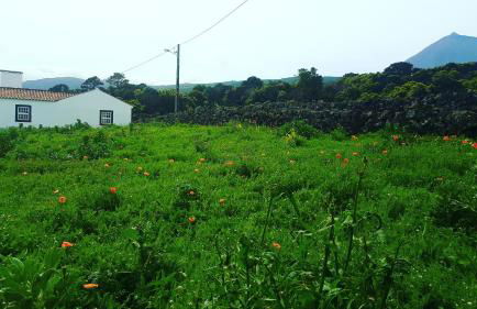 Casa do Paim - Photo 7