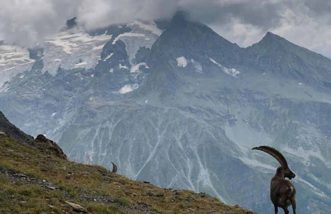 Large Chalet With Barrel Sauna and Whirlpool - Foto 36