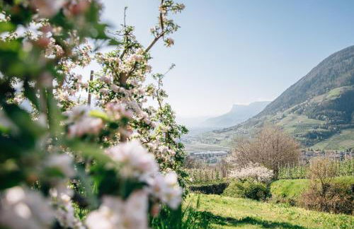 Ferienwohnungen St Hippolyt mit Hallenbad - Foto 52
