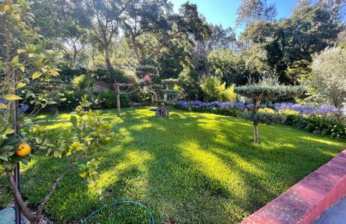 Refúgio da Póvoa - Foto 7