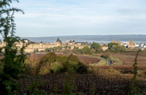 Villa des Cathares - Foto 47