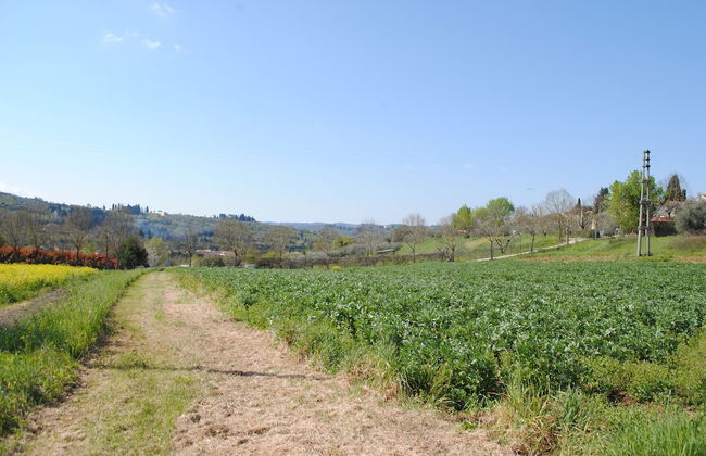 Fattoria di Malavolta - Foto 42