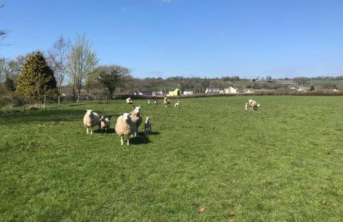 Red Kite Barn - Foto 32