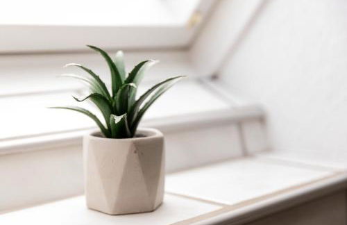 Großzügiges Wohlfühlhaus zwischen Stadt & Meer - Foto 42