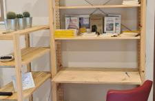 Musa Paradisiaca - Foto 20