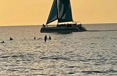 This place is different!! Award winning! Oceanfront, View View! - Foto 33