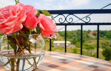 Bicho House - Foto 25