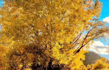 Alojamiento Rural Los Gancheros - Foto 61