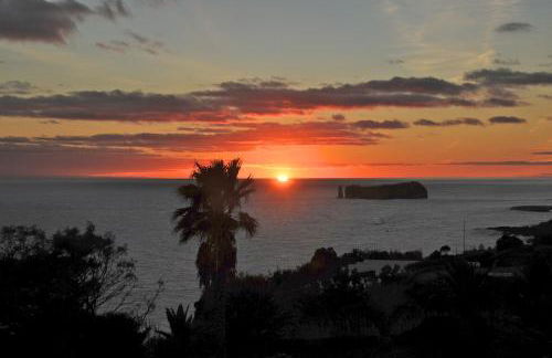 Lobo do Mar - Photo 9