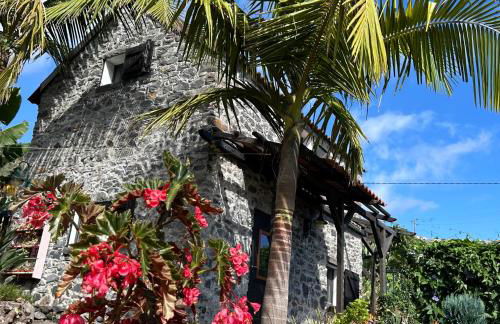 As Casinhas da Madeira - Cosy Stone Cottage in a subtropical garden - Foto 11