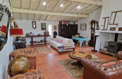 Monte das Aranhas - Foto 57