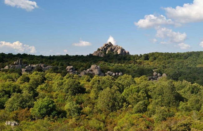 Tour in Castiadas - Foto 8