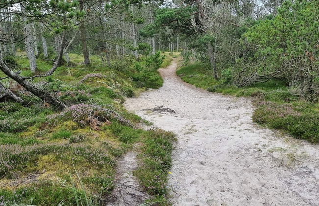 Secluded Oasis With Pool - By Traum Ferienwohnungen - Foto 7