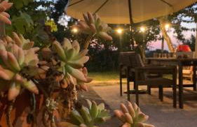 Quinta Vale Salgueiro - Foto 28