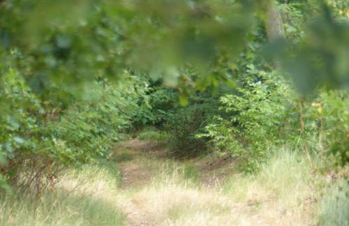 Jagdhaus Franz - Foto 6