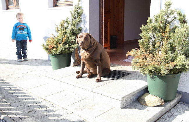 Apartment in Huttau Near ski Area - Foto 8