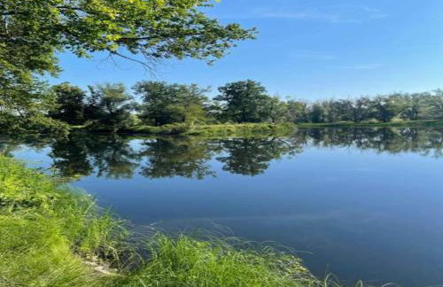 Terrace Apartment Saxony - Foto 50