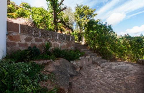 The Shelter - Foto 32