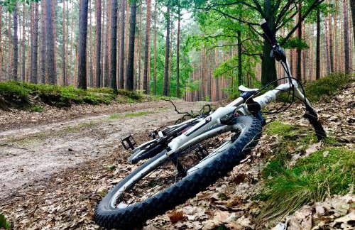 Wilcza Stodoła - Foto 30