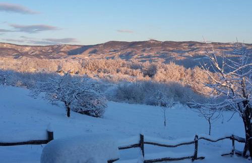 Stara Hi a Vla i - Duplex one bedroom Chalet with Private Garden - Foto 11