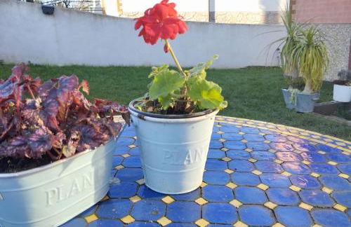 El Hogarin de Veronica - Foto 11