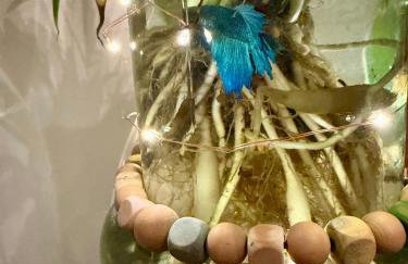 Luxury Micro Retreat with Spa Amenities, Fire Pit, Pet Yard - Foto 10