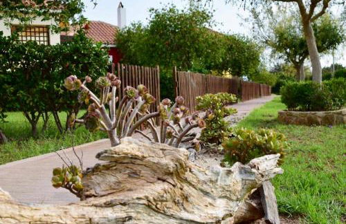 Boutique Hotel Ileas Village - Foto 17