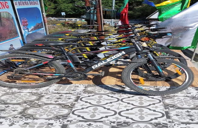 Veenu's Cottage - Foto 49