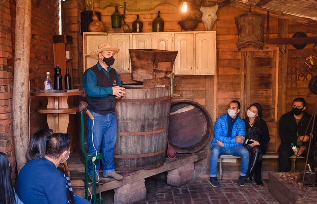 Tour en jardineira por Linha Ávila - Foto 3