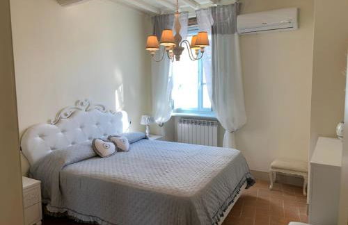 Il Grillo sull'Olivo - Foto 14