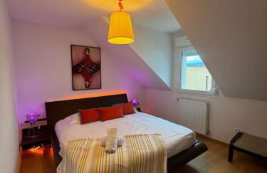 A2 pas de Colmar terrasse,parking - Foto 19