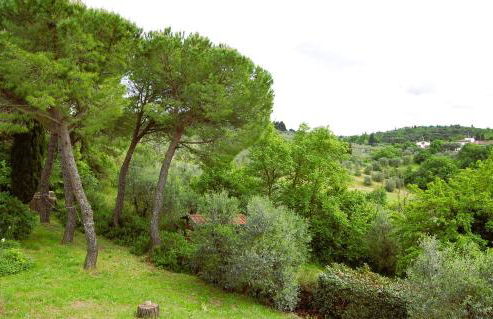 Le Corti - Agriturismo Olio e Vino - Foto 11