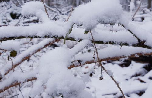 Ferienhaus Britta Kietzmann - Foto 36