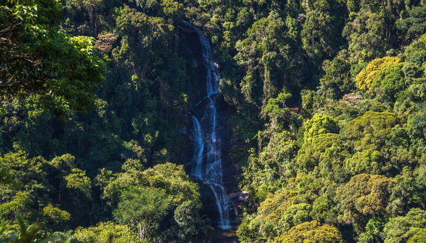 Free tour en 4x4 por el Parque Nacional de Tijuca - Foto 4, La cascada Cascatinha