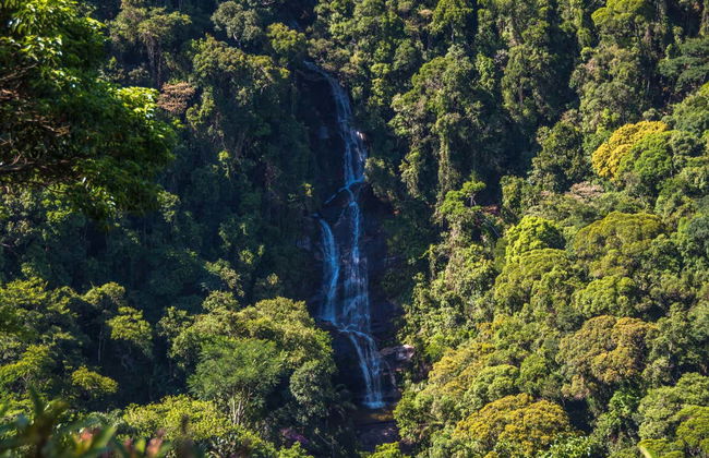 Free tour en 4x4 por el Parque Nacional de Tijuca - Foto 3