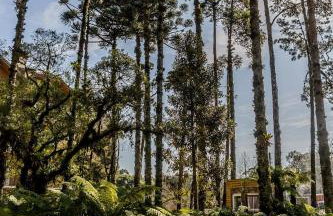 Cobertura Duplex com Piscina Aquecida, próximo aos museus - Foto 48