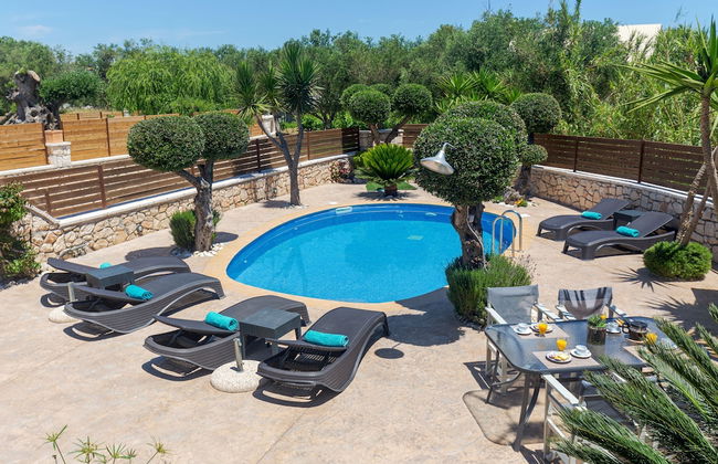 Tierra Olivo - Foto 21