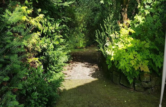 Enchanting Holiday Flat in the Harz Mountains - Foto 30