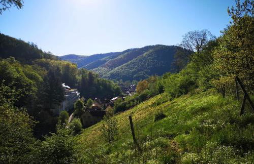 Sonnige 60m² Ferienwohnung für 5 Personen - Foto 15