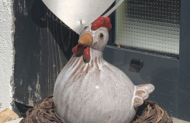 Ferienwohnung Gartenblick - Foto 28
