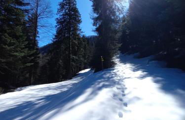 Appartement rue de la cascade 64440 Eaux-Bonnes - Foto 19