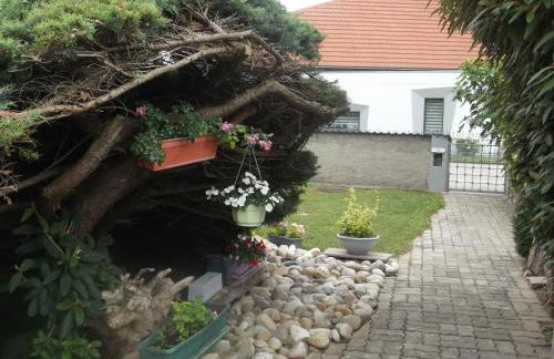 Eguisheim village préféré des français grand studio - Foto 24