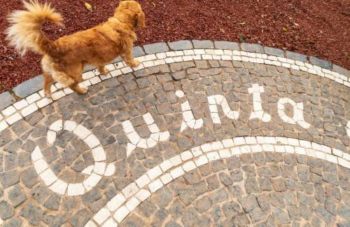 Quinta do Paraizo - Photo 97