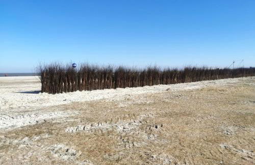 Nordsee Gulfhof 2 mit Garten Dornum 60 qm - Foto 21