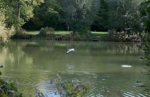 Viaduct Fishery Lodges - Foto 41