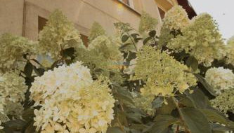 Noclegi na Wzgórzu Sopotnia Wielka - Foto 3, Garden