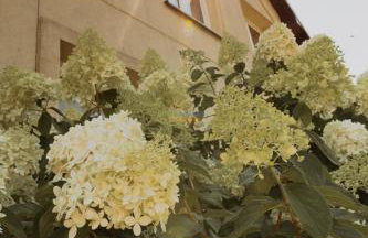 Noclegi na Wzgórzu Sopotnia Wielka - Foto 3