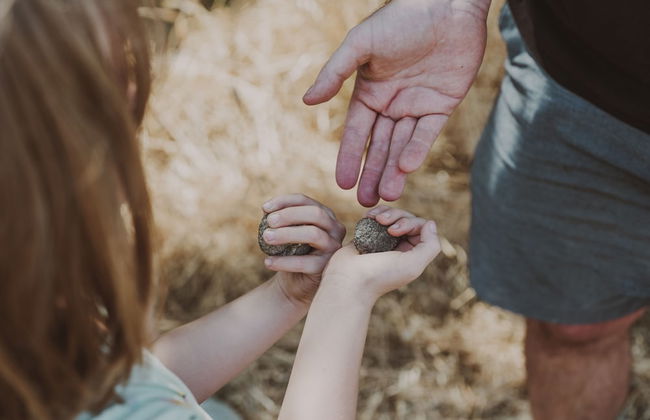Agriturismo Podere Diacceroni - Foto 33
