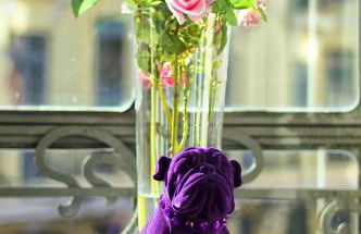 Purple Dog Suites - Foto 4